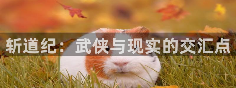 怎么下载哔咔漫画app